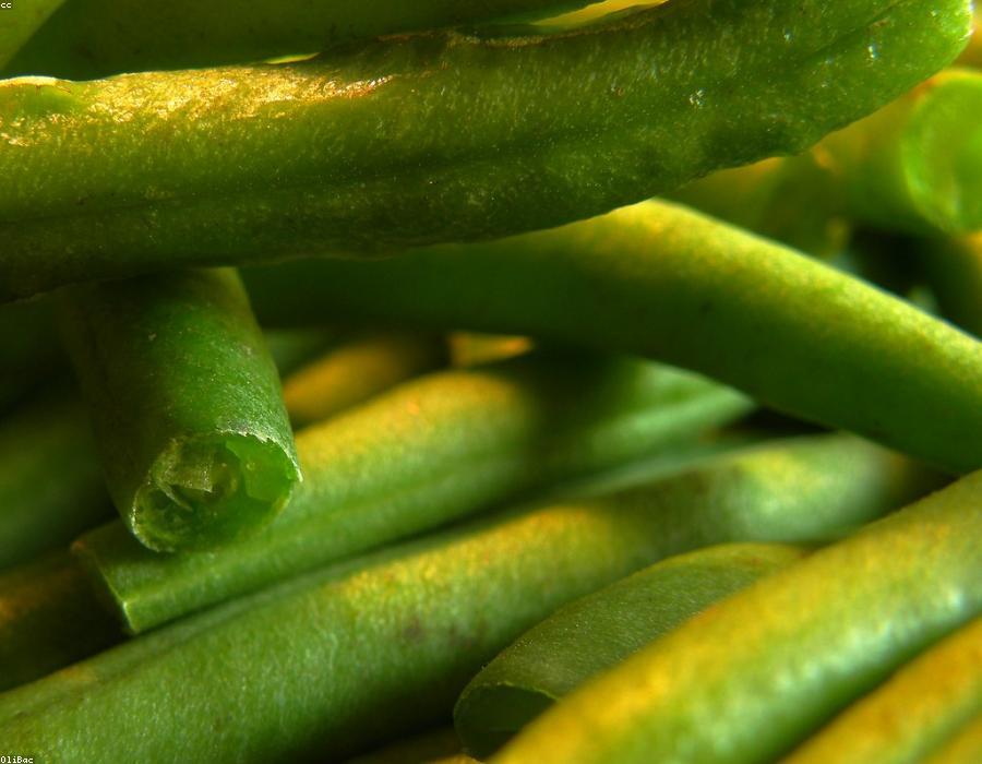 Green Beans