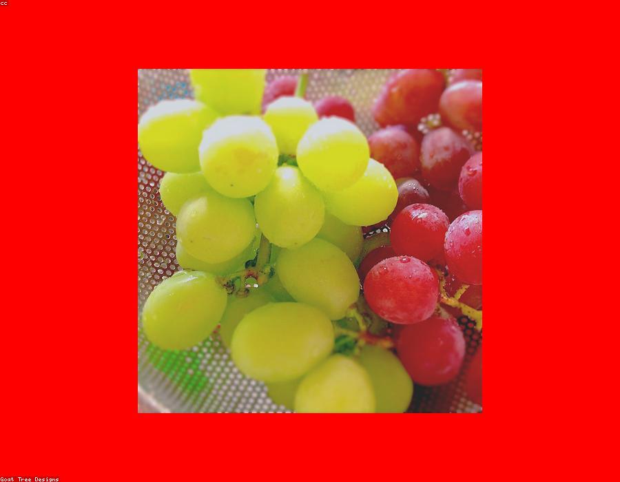 Fresh Grapes