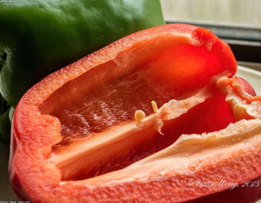 Green Capsicum