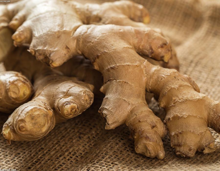 Organic Ginger