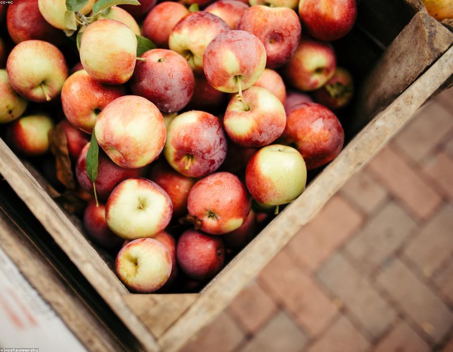 Fresh Apple